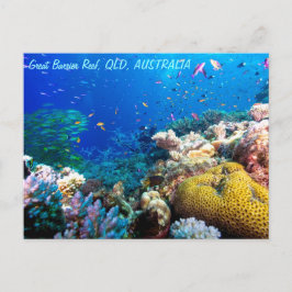 Postal Pescado Tropical Gran Barrera de Coral de Arrecife