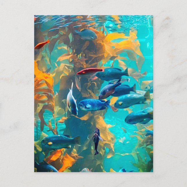 Postal Pescado y algas marinas (Anverso)