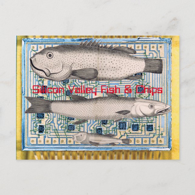 Postal Pescado y chile de Silicon Valley (Anverso)
