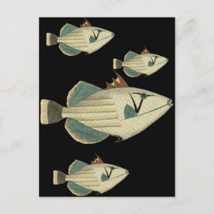 Postal Pescador