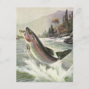 Postal Pescador vintage de trucha arco iris que pesca pes