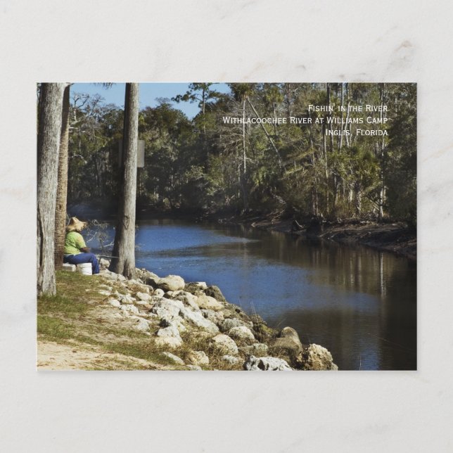 Postal Pescando en el río Postcard (Anverso)