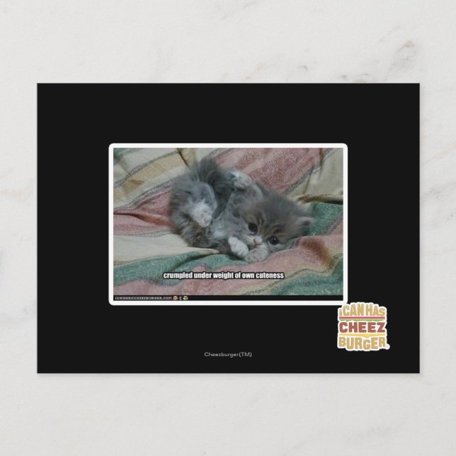 Postal Peso de propio cuteness (Anverso)