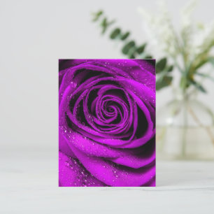 Postal Petales Rosas 2