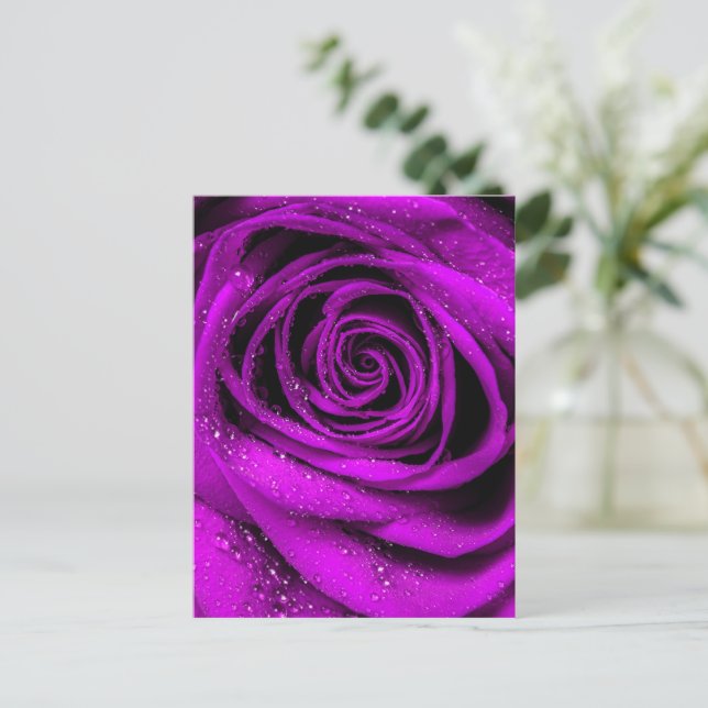 Postal Petales Rosas 2 (Anverso de pie)