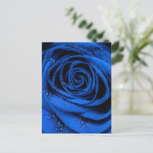 Postal Petales Rosas 3