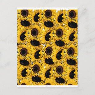 Postal pétalos de flores de sol nadan bucean marinos natu