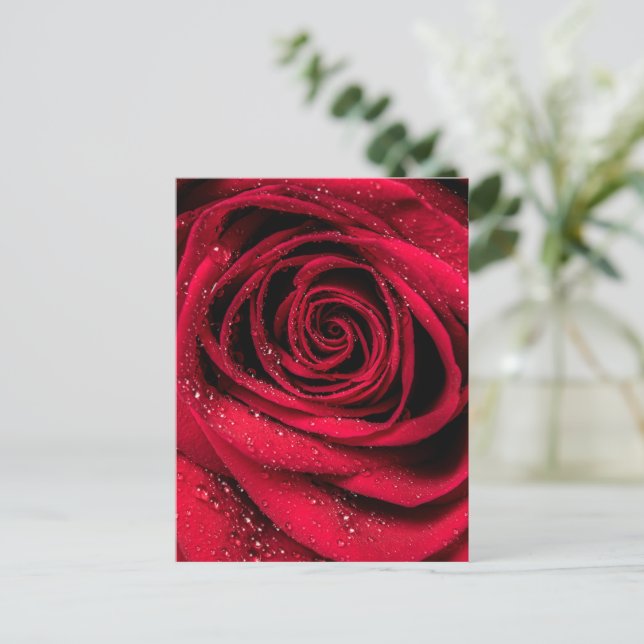 Postal Pétalos de Rosa 1 (Anverso de pie)