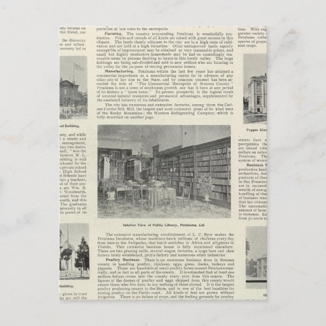 Postal Petaluma, California (Anverso)