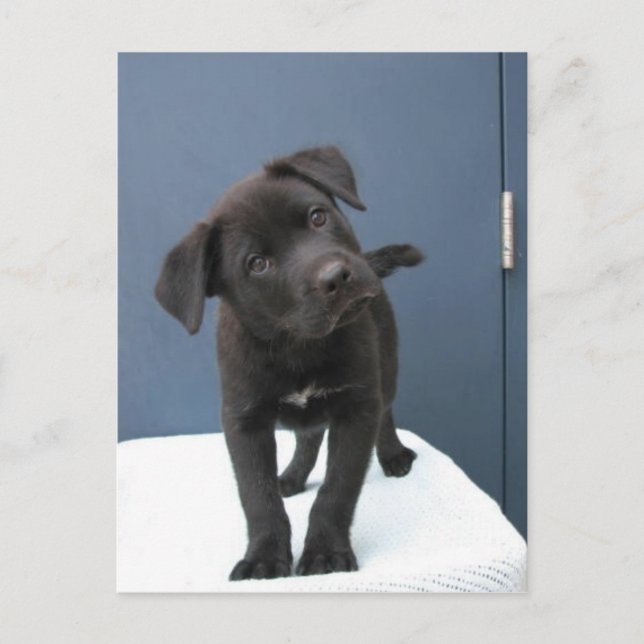 Postal Pete (Anverso)