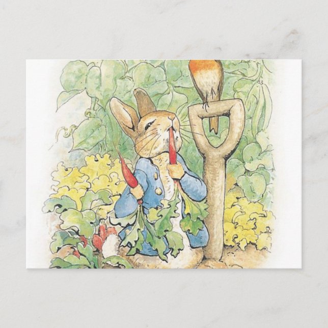 Postal Peter Rabbit En El Jardín - Beatrix Potter (Anverso)