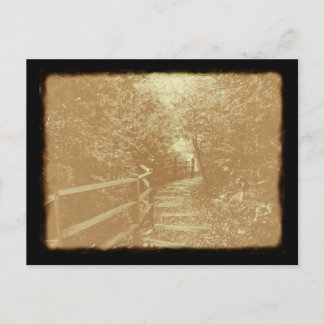 Postal Peterson Park, Northport, Michigan - Postcard