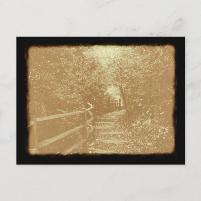 Postal Peterson Park, Northport, Michigan - Postcard (Anverso)