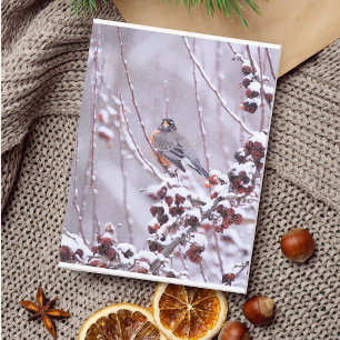 Postal Petirrojo Americano Guerrero en Invierno