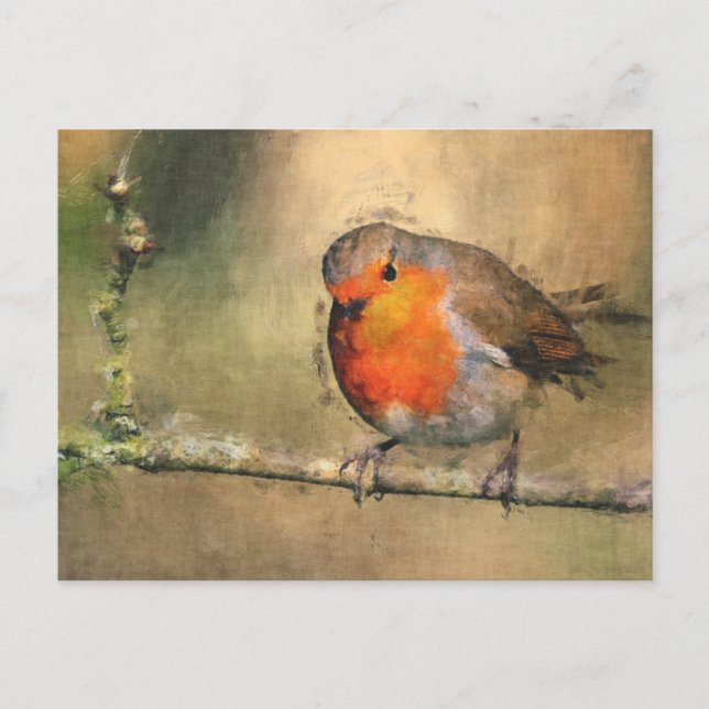 Postal Petirrojo Redbreast (Anverso)
