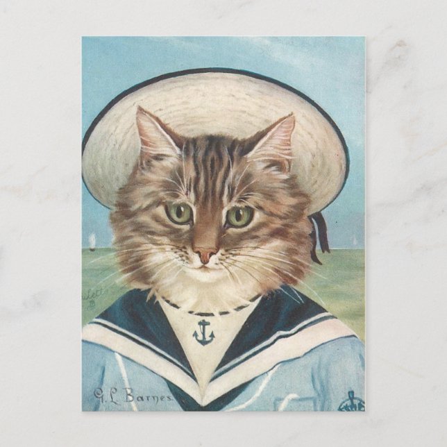 Postal Petit garçon mer chat (Anverso)