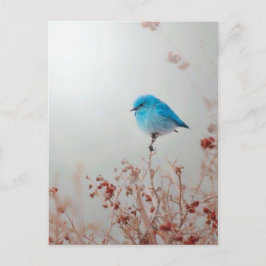 Postal Petit oiseau bleu