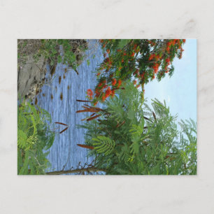 Postal Petite Anse - Martinica, FWI