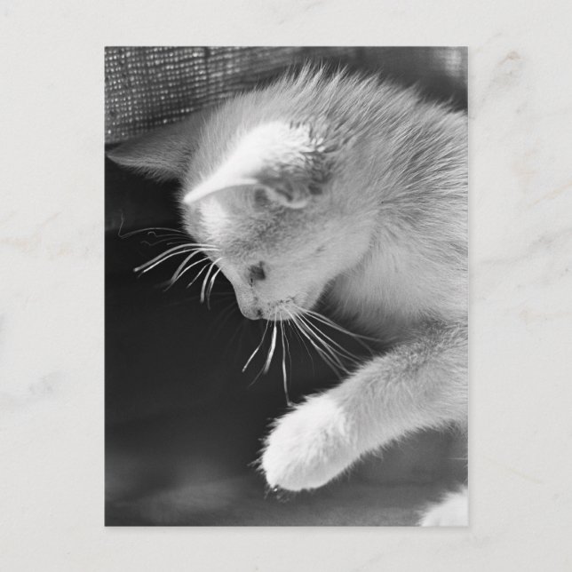 Postal Petra Poised (Anverso)