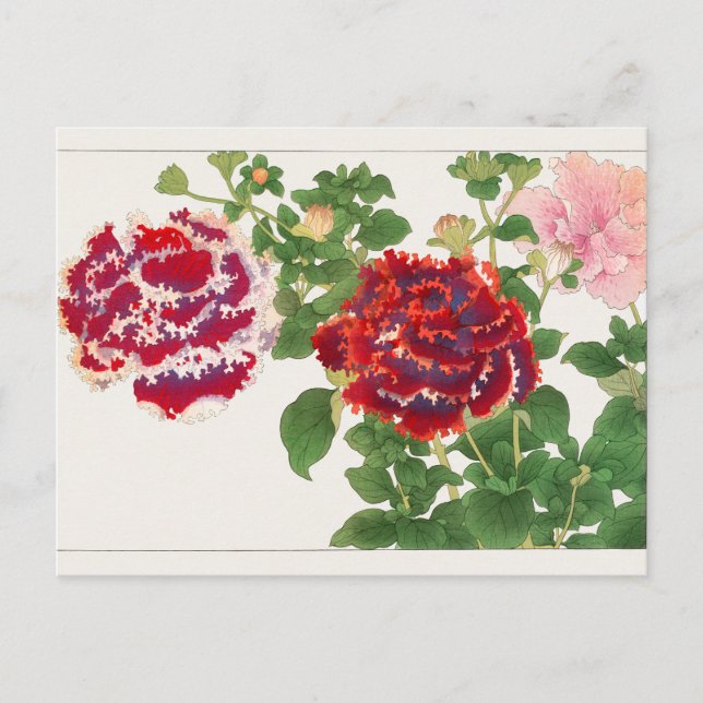 Postal Petunia por Tanigami Konan (Anverso)