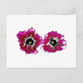 Postal Petunias de Verano