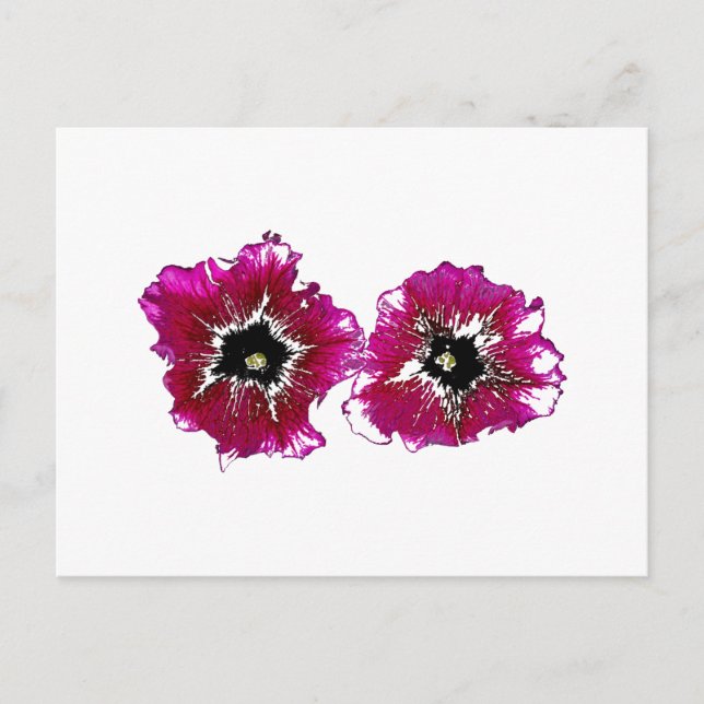 Postal Petunias de Verano (Anverso)