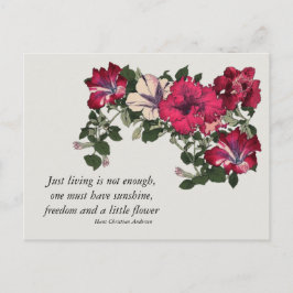 Postal Petunias rosadas con la cita de Hans C Andersen
