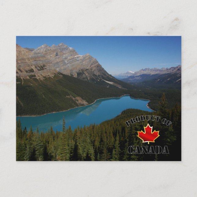 Postal Peyto Lake Product de Canadá (Anverso)