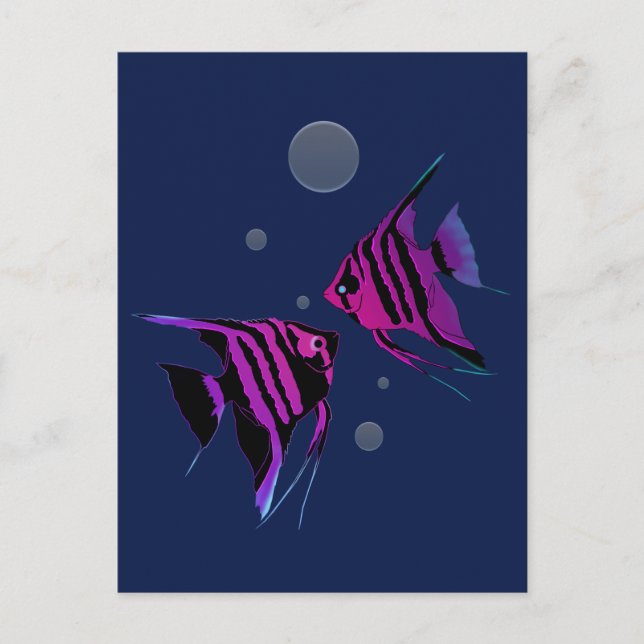 Postal Pez ángel neon (Anverso)