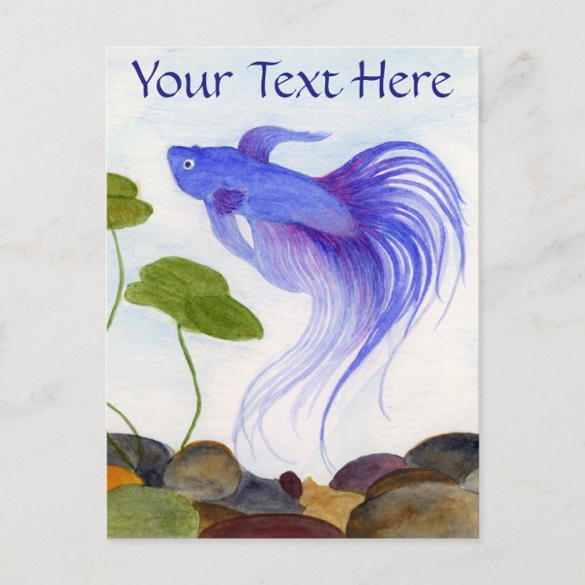 Postal Pez Betta Azul (Anverso)