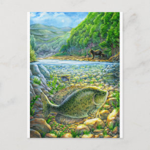 Postal Pez del río de montaña