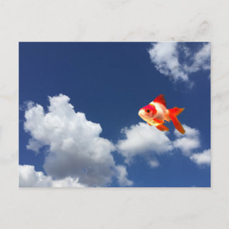 Postal pez dorado volador