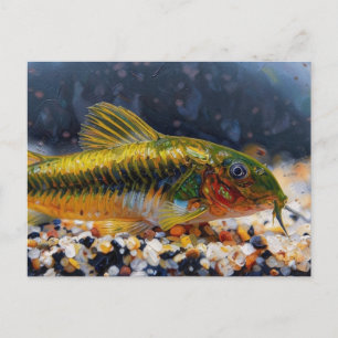 Postal Pez gato corydoras láser verde