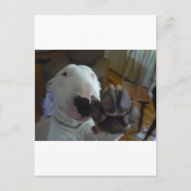 Postal pezuña (Anverso)