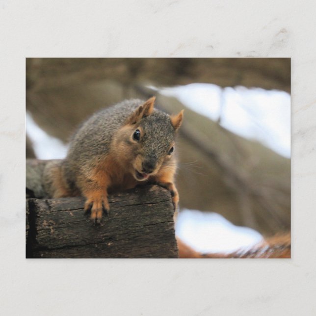 Postal Pfft (Anverso)