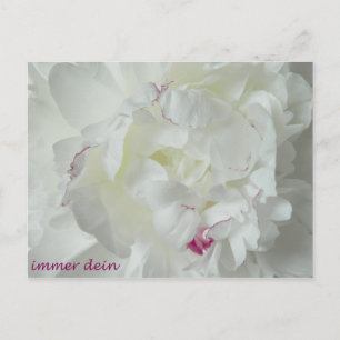 Postal Pfingsten: Immer dein