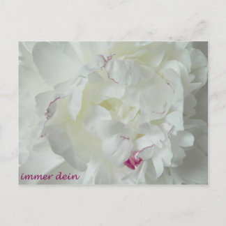 Postal Pfingsten: Immer dein