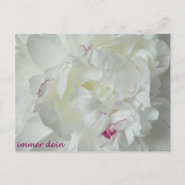 Postal Pfingsten: Immer dein (Anverso)