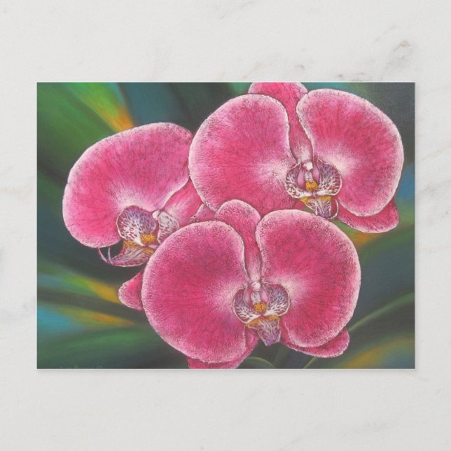 Postal Phalaenopsis Rosa Orquídeas Flores Pintado Acrílic (Anverso)