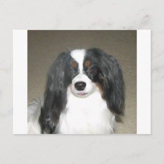 Postal Phalène Papillon