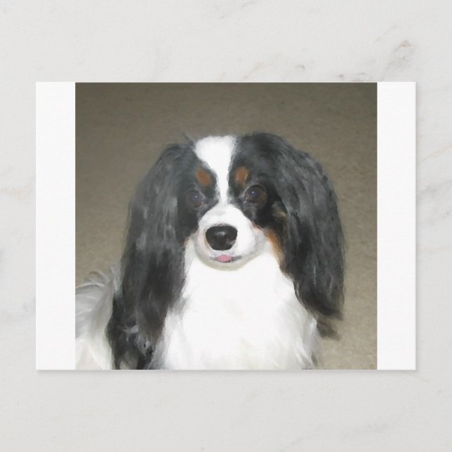 Postal Phalène Papillon (Anverso)