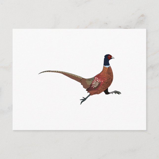 POSTAL PHEASANT (Anverso)