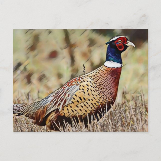 Postal Pheasant (Anverso)