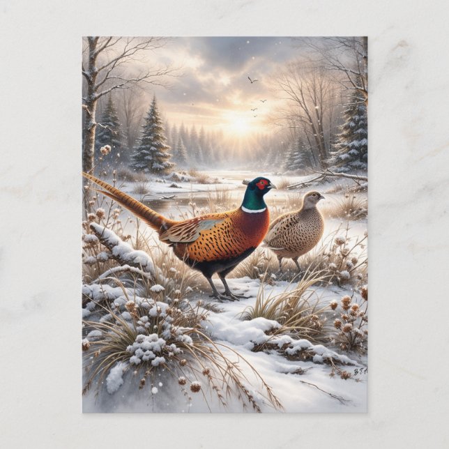 Postal Pheasant  (Anverso)