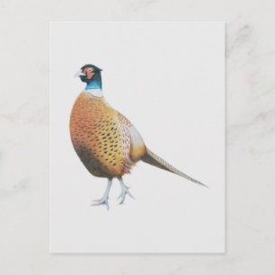 Postal Pheasant 2012