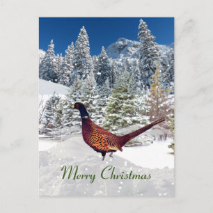 Postal Pheasant Christmas de Dakota del Sur de collar.