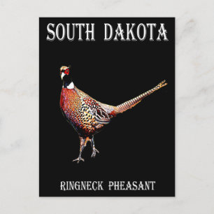 Postal Pheasant de cuello anaranjado