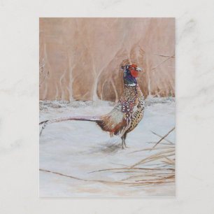 Postal Pheasant en la nieve