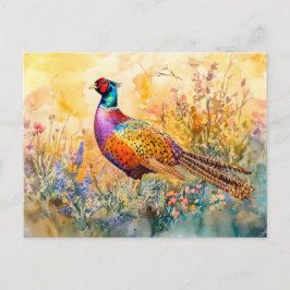 Postal Pheasant en una pintura acuarela de la pradera