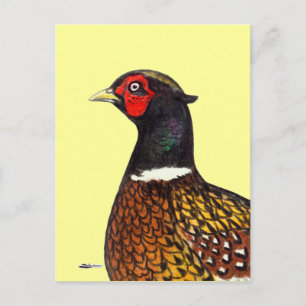 Postal Pheasant Head Ringneck